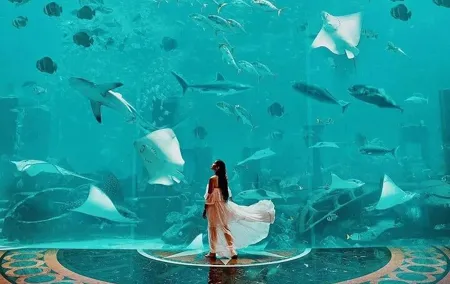 Dubai Lost Chambers Aquarium at Atlantis Ticket