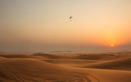 Sunset Dune Dinner Safari