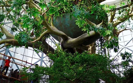 Ticket to The Green Planet in Dubai