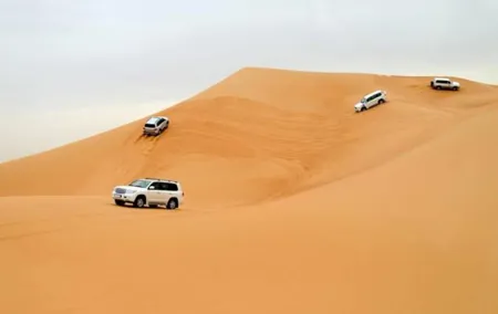 Desert Safari With Camel Ride and Dinner