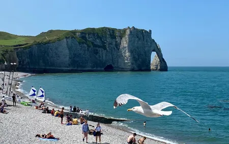 Normandy Rouen, Honfleur, Etretat Small group Day Trip from Paris
