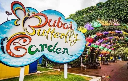 Dubai Butterfly Garden Tickets with Sharing Transfers