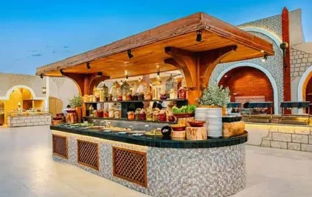 Premium Desert Safari Experience 5* Live BBQ Dinner with Shows
