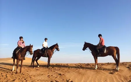 Desert Horse Riding In Dubai
