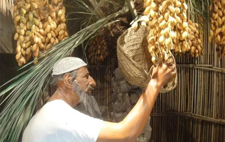 Historical Dubai City Tour