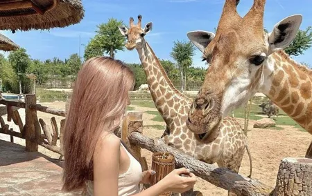 Dubai Safari Park and Explorer Safari Tour with Transfer
