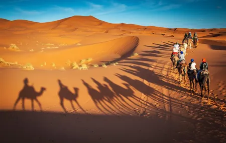 Private Desert Safari with Camel Ride