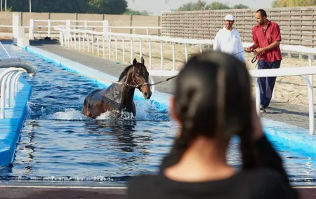 Racehorse Stable tour with Breakfast