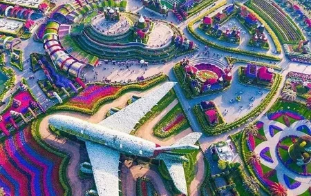 Dubai Miracle Garden and Glow Garden Tour