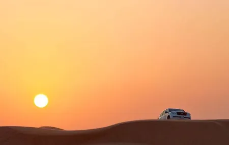 Sunrise Early Morning Safari