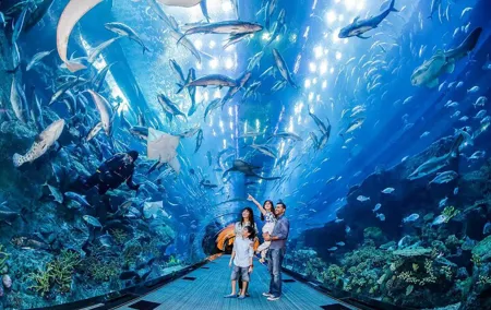 Dubai Aquarium and Underwater Zoo Ticket