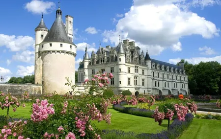 Loire Valley Castles Private Day Trip from Paris