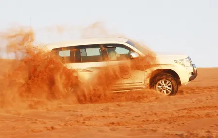 Private 4 Tours Dubai & Abu Dhabi: Safari, City Tour, Cruise