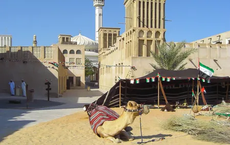 Dubai SIC Half Day Tour