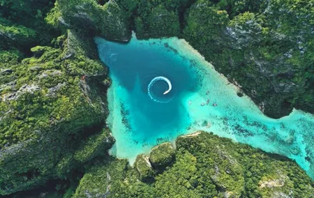 Phi Phi with Maya and Bamboo Island Day Trip by Speedboat