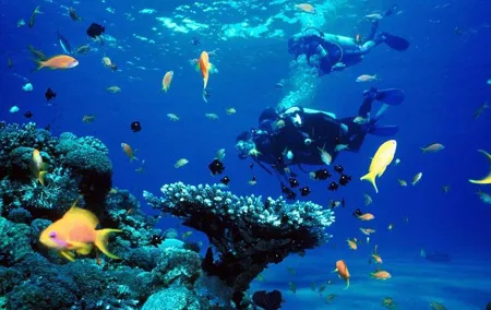 Full-Day Beginner Scuba Course with Private Tuition, Racha Yai