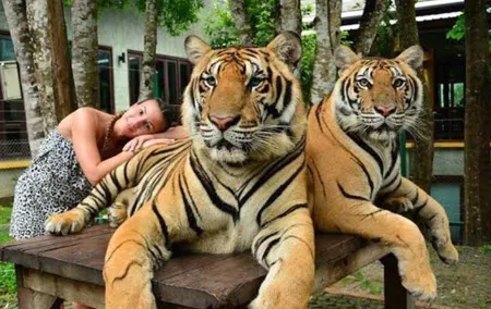 Phuket city tour with Tiger Experience (Best Seller)