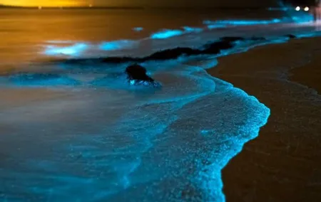 Bioluminescent Plankton, Sea Canoes & Sunset at James Bond Island
