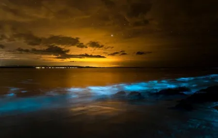 Phang Nga Bay Private Bioluminescence and Sea Canoeing Tour