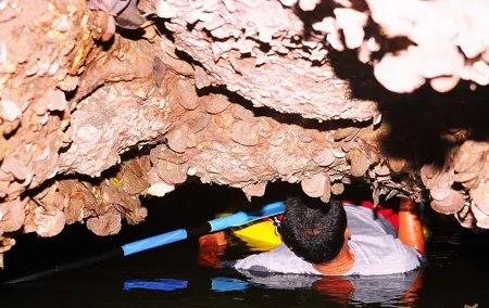 John Gray's Adventure Hong by Starlight in Phang Nga Bay