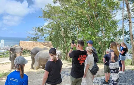 Phuket Guided Tour to Elephant Sanctuary with Hotel Transfers