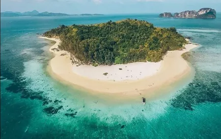 Phi Phi & Bamboo Islands Snorkeling Tour w/ Fins by Speedboat