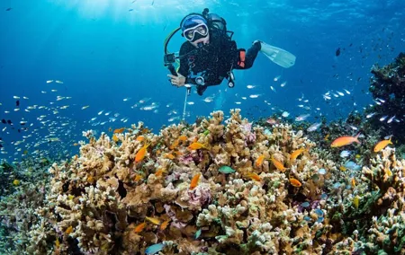 3 Fun dives in Phi Phi islands for Certified Divers