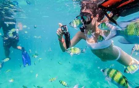 All-in Phi Phi, Maiton, MayaBay, Khai, Bamboo islands Tour