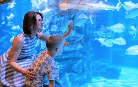 Aquaria Phuket and 4D Trickeye Museum Experience Ticket