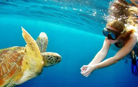 Explore Surin Islands: Ultimate Snorkeling Day Trip from Phuket