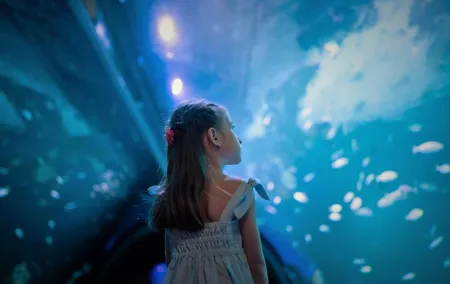 Aquaria Phuket Tickets and 4D Trickeye Museum Combo Deal