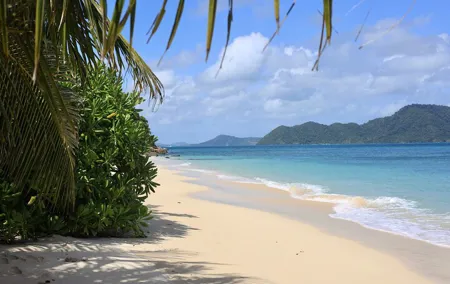 Bon Island Tour by longtail boat with Lunch