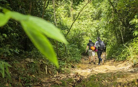 Phuket Jungle Trekking Experience at Khao Phra Taew National Park