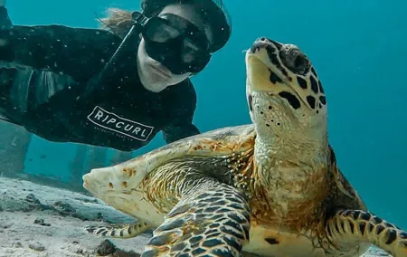 Similan Islands Private Tour