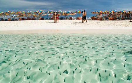Tropical Escape: Half-Day Speedboat Trip to Phuket Khai Islands