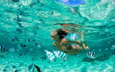 Phuket Coral Island Private Snorkeling Adventure All Inclusive