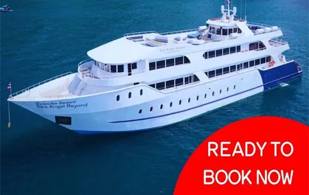 PHUKET: Phi Phi Island by Luxury Cruise"Exc. Gold Class VIP"Lunch