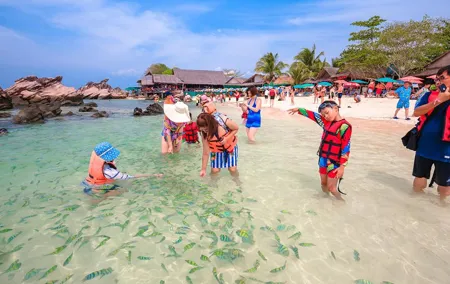 Tropical Escape: Phi Phi Islands by Speedboat from Phuket
