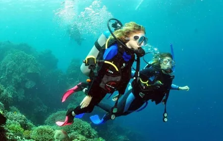 SSI | Padi Open Water Course in Phuket