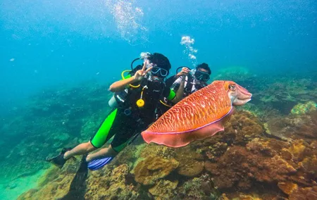 Phuket Scuba Diving Maiton Private Island Small Group or Snorkel