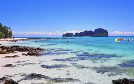 Early Bird Phi Phi Islands Full-Day Tour by Speedboat