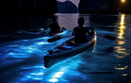 Small Group Bioluminescent Canoe&Twilight Adventure Phang Nga Bay