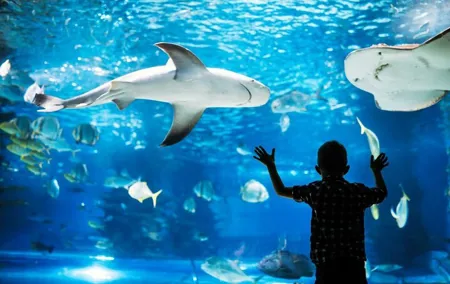 Aquarium Phuket Admission Ticket