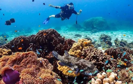 Explore Scuba Diving at Racha Yai Island from Phuket