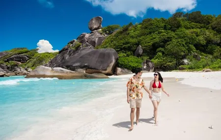 Similan Islands Turtles Tour By Speed Boat Pick up from Phuket