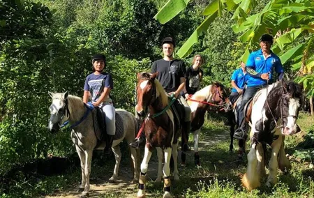 Horseback Riding 1 hour trail