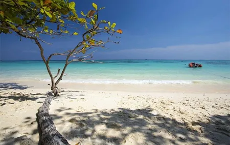 Phuket-Maiton Island-Phi Phi Island-Maya Bay tour by Speed Boat