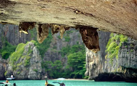 Phi Phi Sunrise Premium Tour by Speed Boat