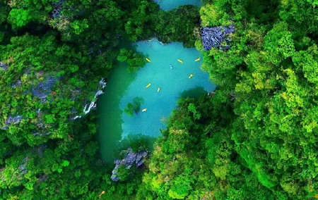Starlight Kayaking & Bioluminescence in Phang Nga Bay From Phuket
