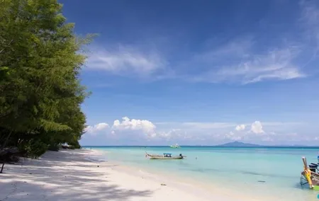 Phi Phi & Bamboo Islands Full-Day Tour by Speedboat From Phuket